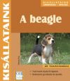 Marcia Foy A beagle - Kisllataink gondozsa, polsa 